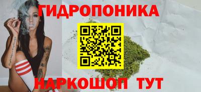 соль ск Кингисепп